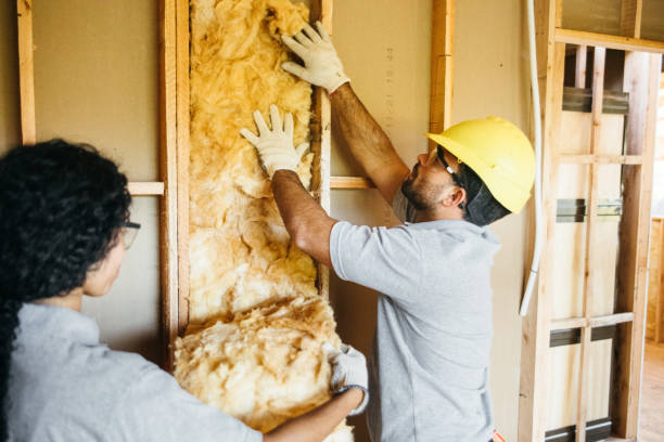 Professional Insulation Contractor in Harleigh, PA