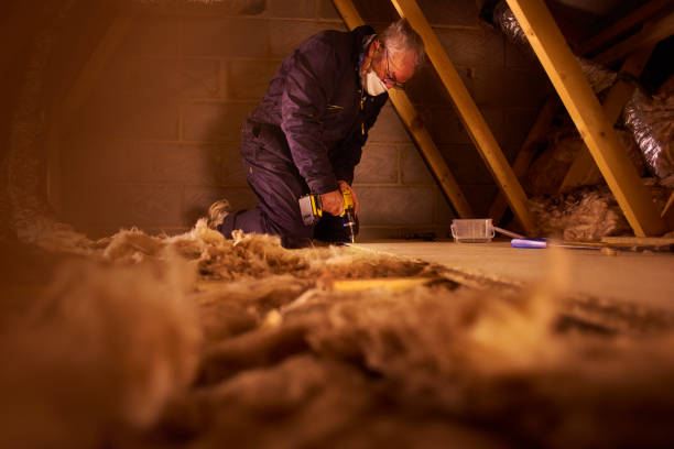 Best Insulation Removal  in Harleigh, PA